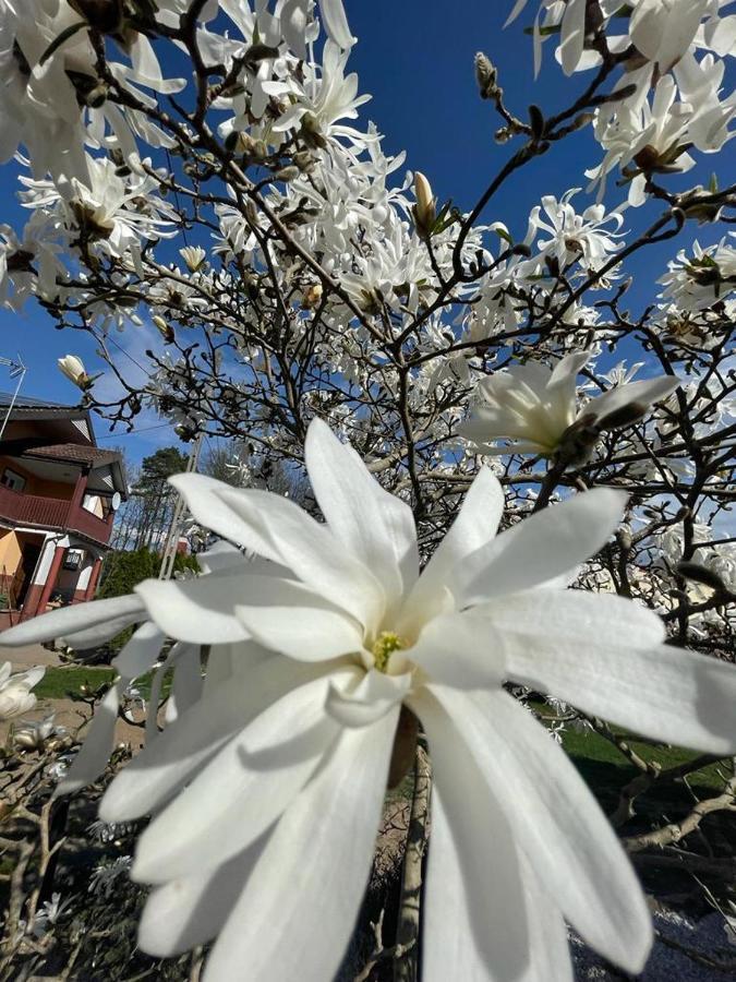 Zarzecze 27a
